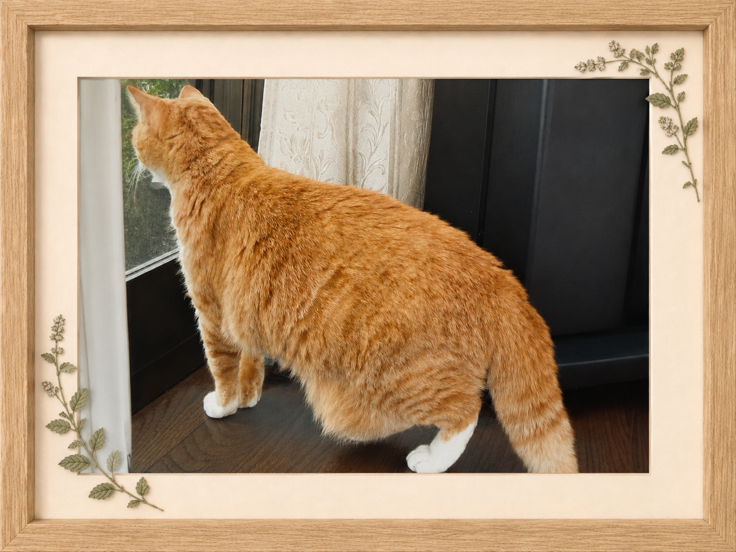 Cat memory 4